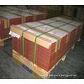 /msite/products/detail/productid/54106678/id/540978.html